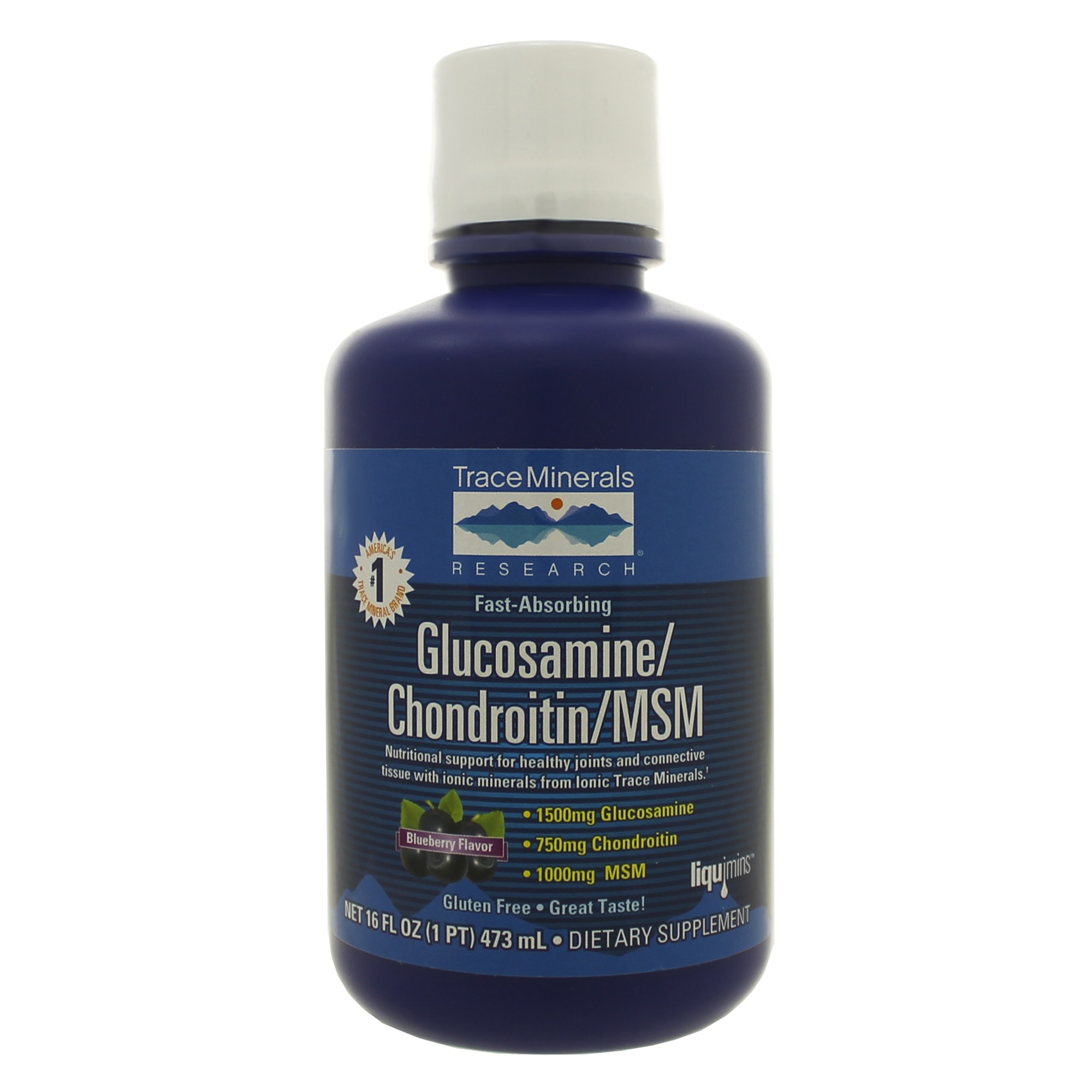 Buy Liquid Glucosamine/Chondroitin/MSM 16 ounces Online in Canada