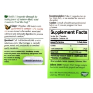 Ginger Root - 100 capsules - Image 2