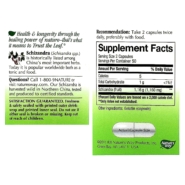 Alternative view of Schizandra Fruit - 100 capsules