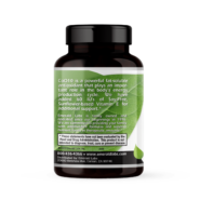 CoQ10 200mg + Vitamin E 60 IU - 30 vcaps VEGAN - Image 3
