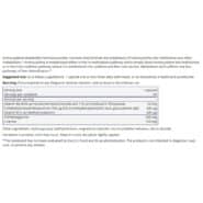 Alternative view of Homocysteine Plus - 90 capsules