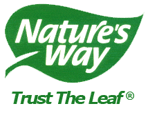 Kelp 600mg - 100 capsules - Image 4