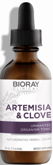 Artemesia & Clove - 2oz