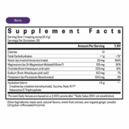 Optimal Electrolyte Berry - 192 grams - Image 2