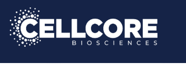 CT-Biotic - 60 capsules - Image 8